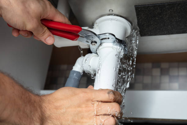 Best Water damage restoration specialists  in Windsor, CO