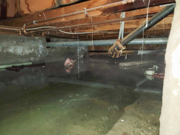 Windsor, CO Water damage restoration Company