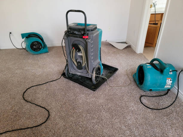 Best Fire Damage Restoration  in Windsor, CO