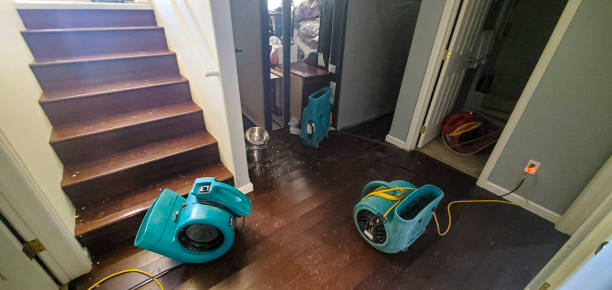 Reliable Windsor, CO Water damage restoration Solutions