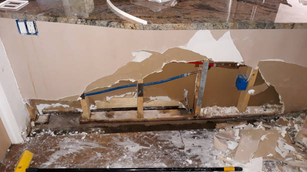 Best 24/7 water damage repair  in Windsor, CO