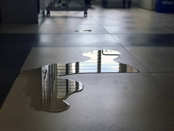 Best Water damage restoration company  in Windsor, CO