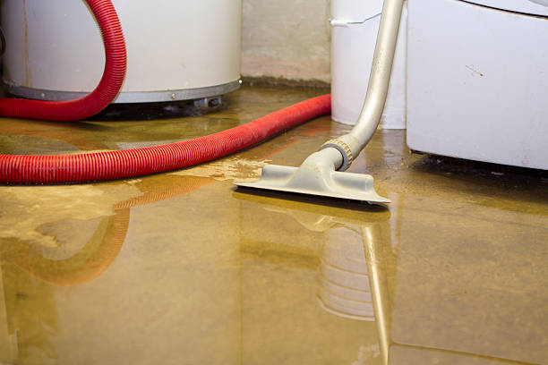 Best Local water damage restoration  in Windsor, CO
