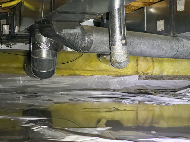 Best Professional water damage repair  in Windsor, CO