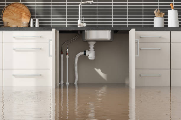Best Basement water damage restoration  in Windsor, CO